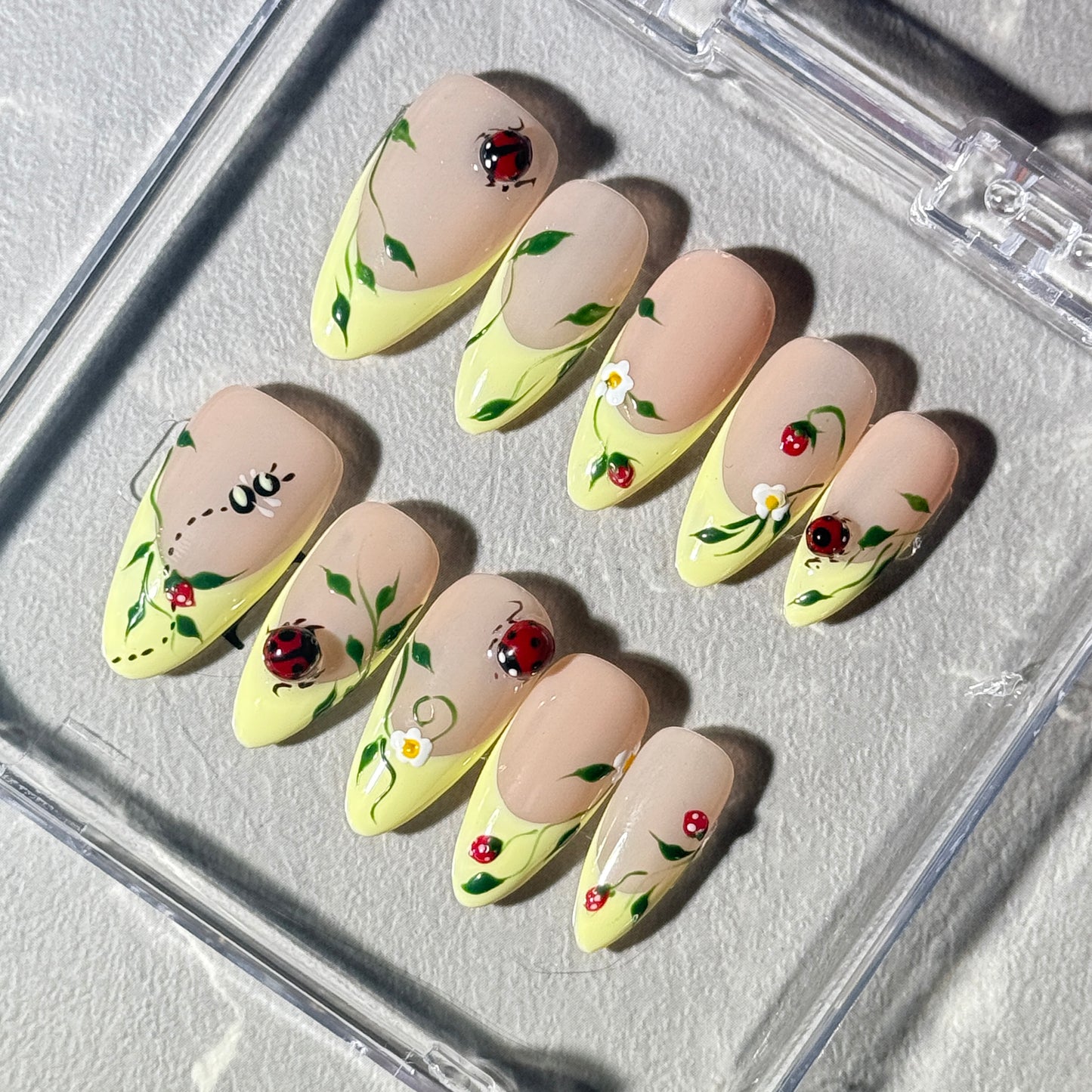 Ladybug Picnic