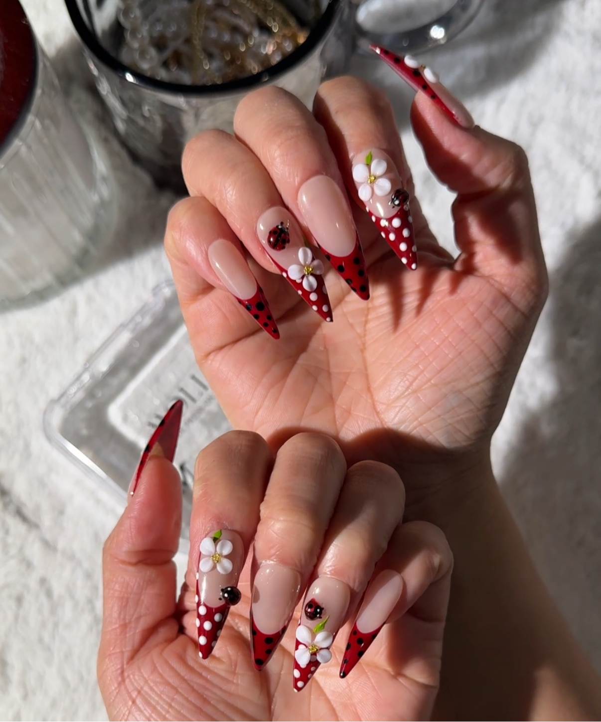 Dotty Darling