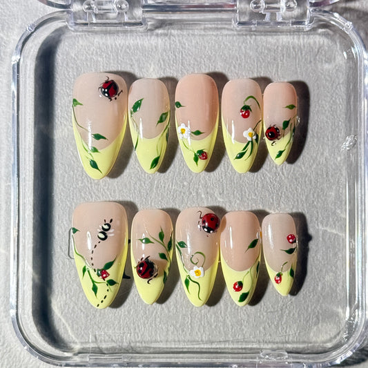 Ladybug Picnic