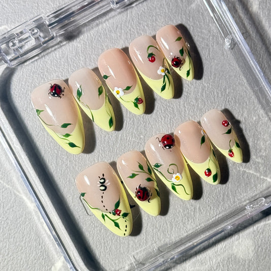 Ladybug Picnic